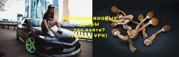 гидра Алексин